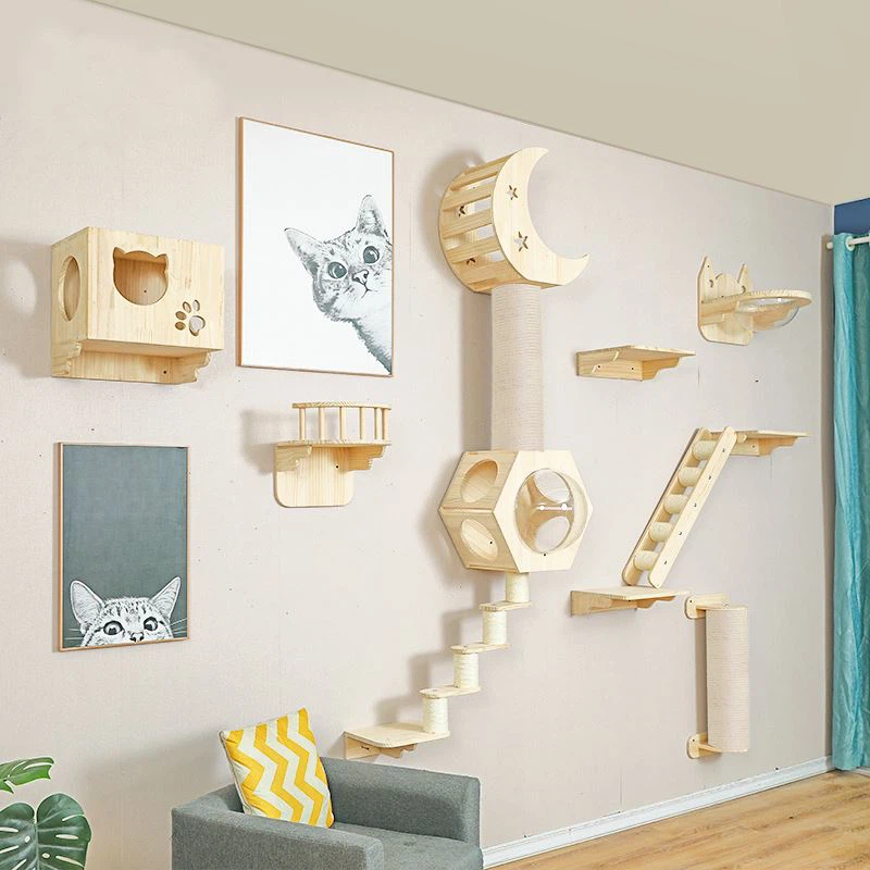 Domácí mazlíčci Láska